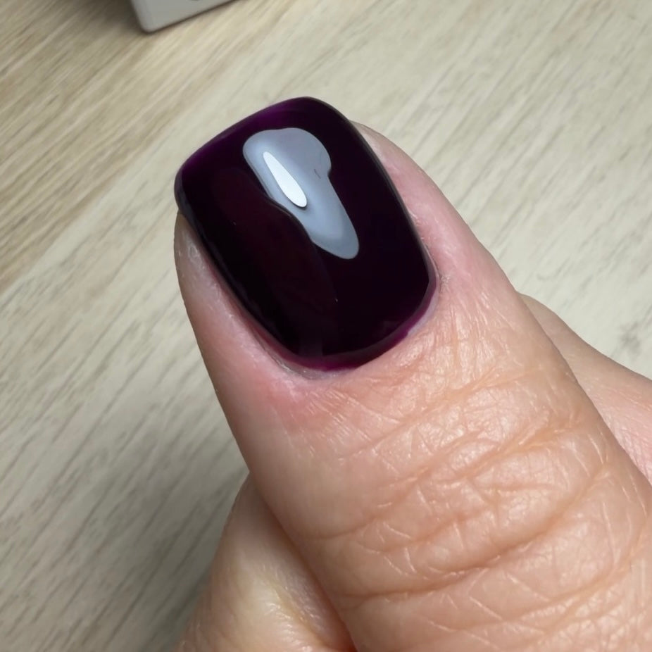 Viola